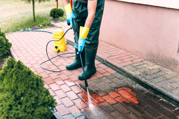 Best Dumpster Area Cleaning  in North College Hill, OH